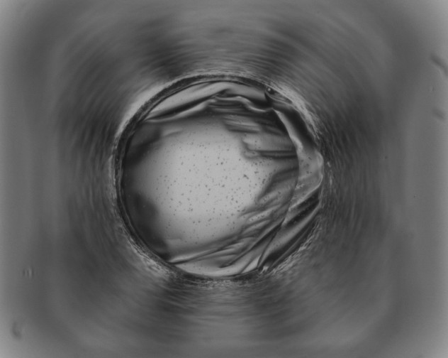 X0000091221120200708301445