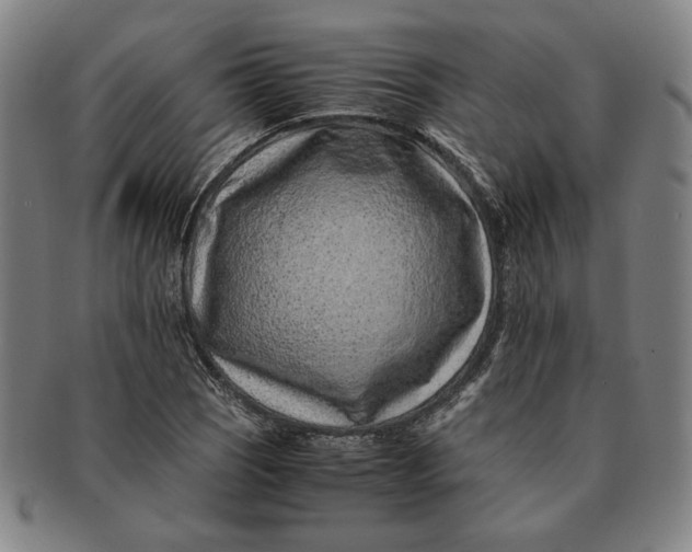 X0000091221121200708301445