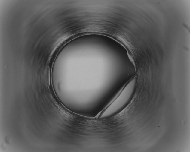 X0000091221123200708301445