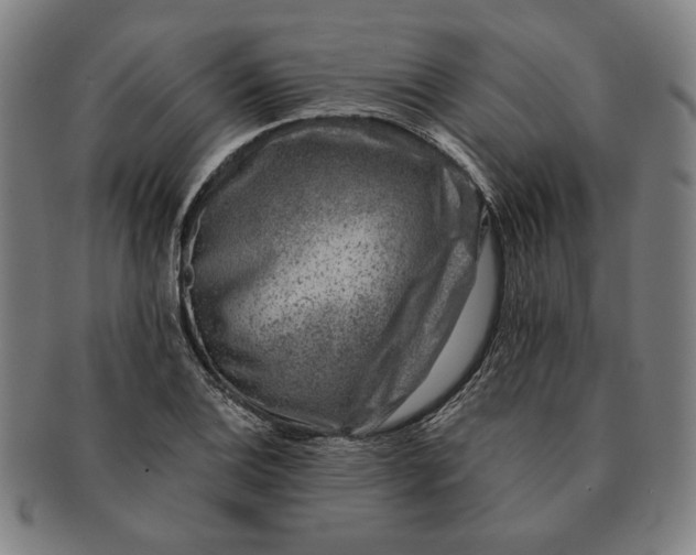 X0000091221124200708301445