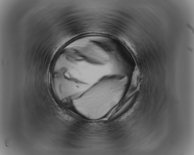 X0000091221125200708301445