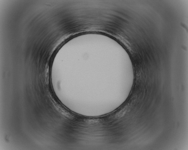 X0000091221126200708301445