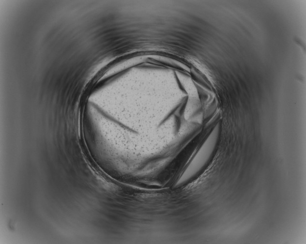 X0000091221127200708301445