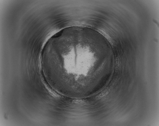 X0000091221128200708301445