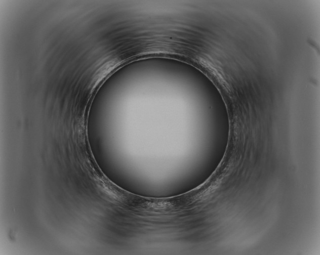 X0000091221129200708301445