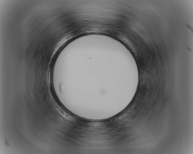 X0000091221130200708301445