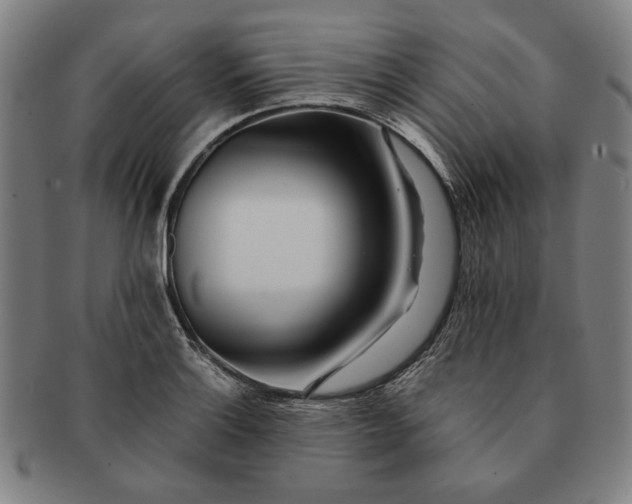 X0000091221132200708301445