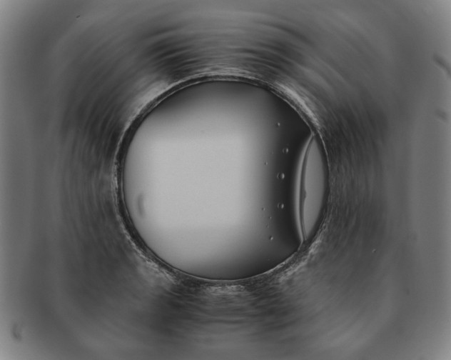 X0000091221133200708301445