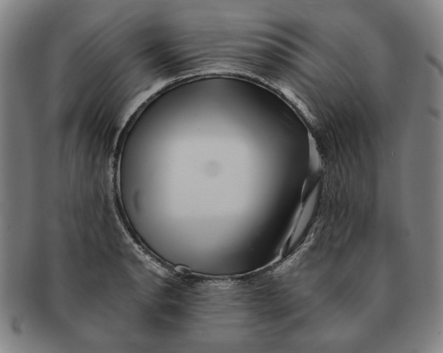 X0000091221134200708301445