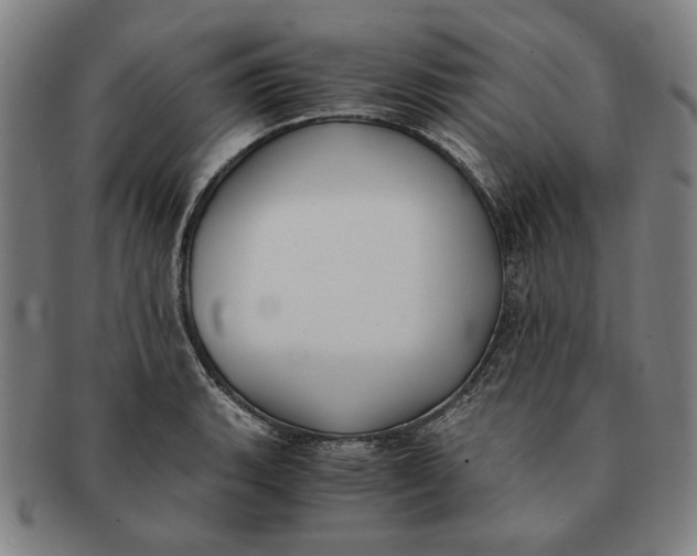 X0000091221135200708301445