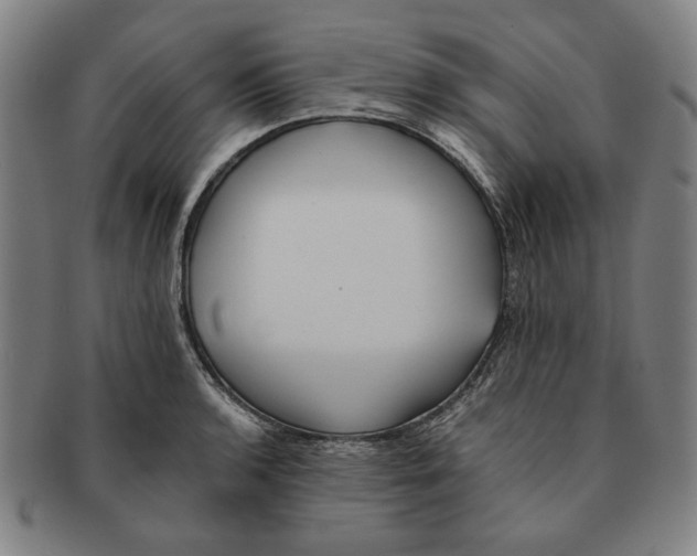 X0000091221136200708301445