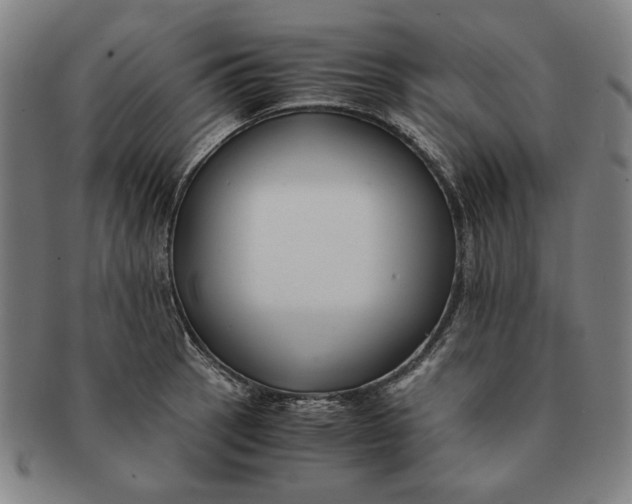 X0000091221137200708301445