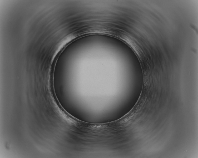 X0000091221139200708301445