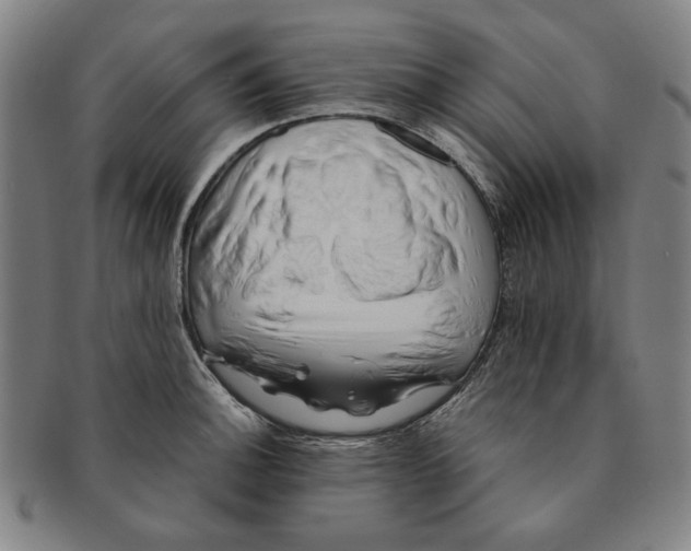 X0000091221140200708301445