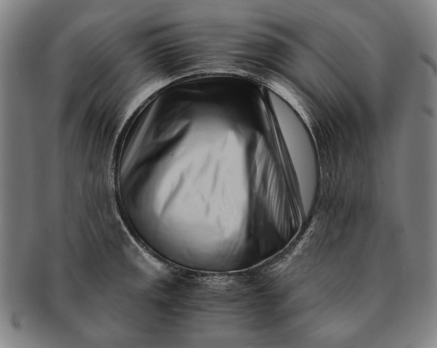 X0000091221141200708301445