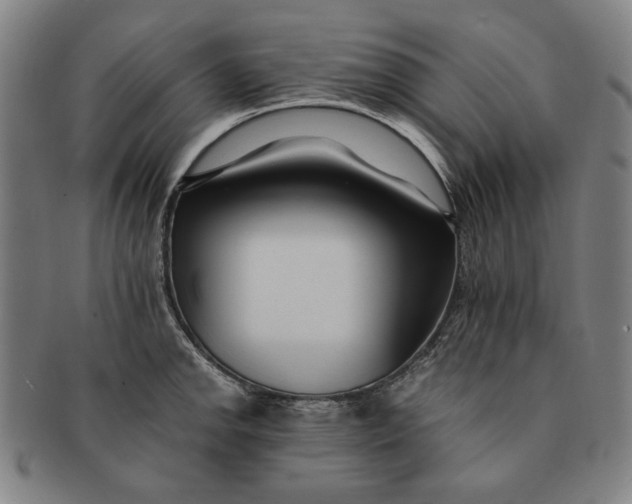 X0000091221142200708301445