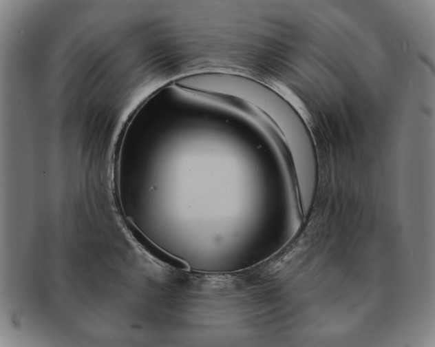 X0000091221144200708301445