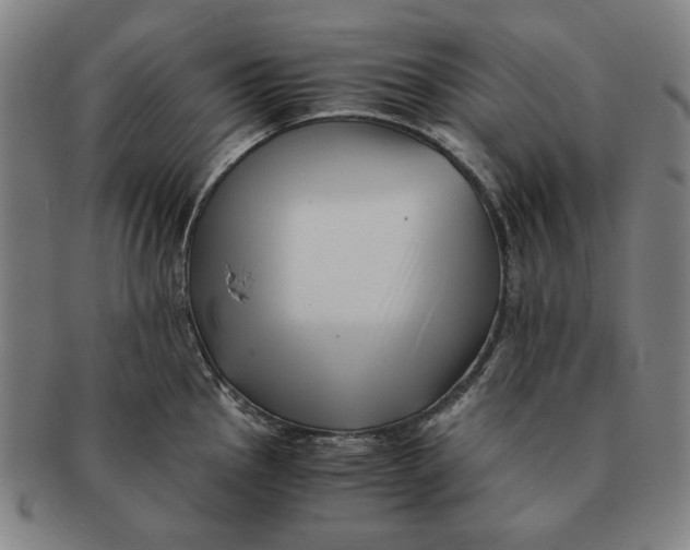 X0000091221145200708301446