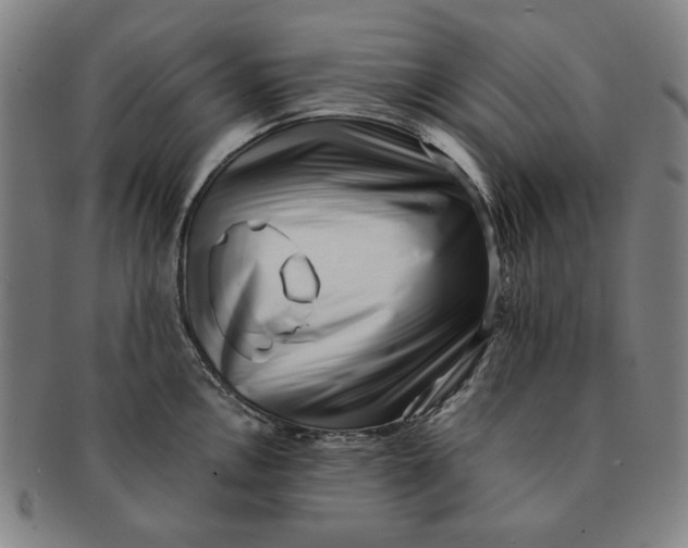 X0000091221146200708301446