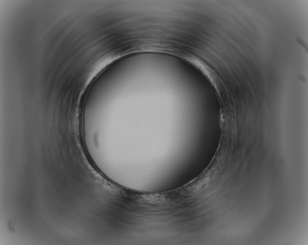 X0000091221147200708301446