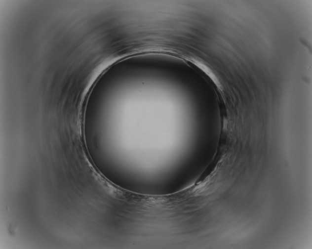 X0000091221148200708301446