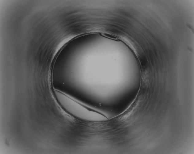 X0000091221149200708301446