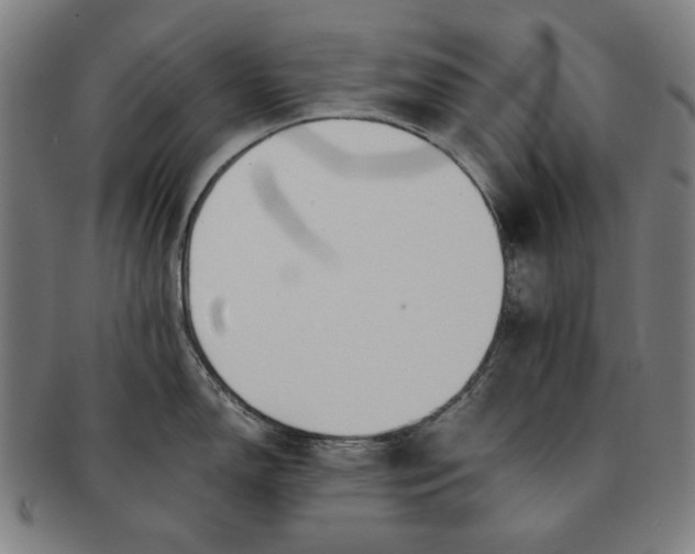 X0000091221150200708301446