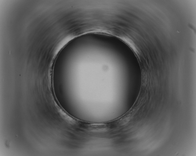 X0000091221151200708301446