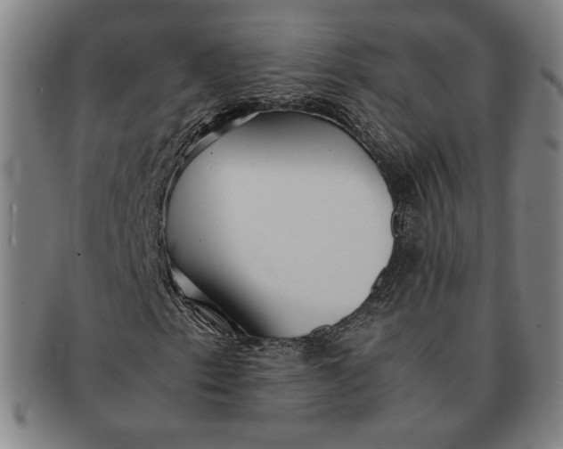 X0000091221153200708301445