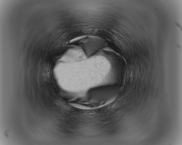 X0000091221154200708301445