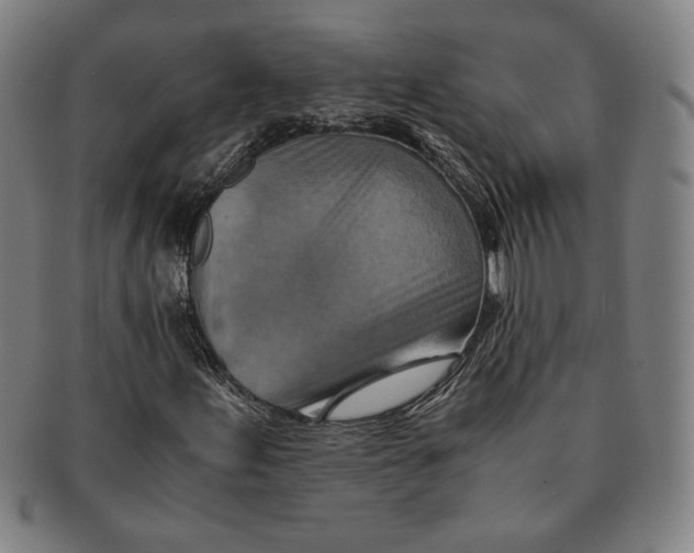 X0000091221155200708301445