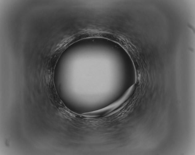 X0000091221157200708301445