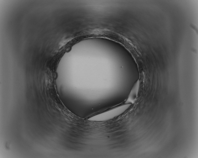 X0000091221158200708301445