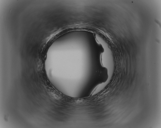 X0000091221160200708301445