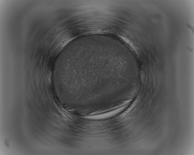 X0000091221161200708301445