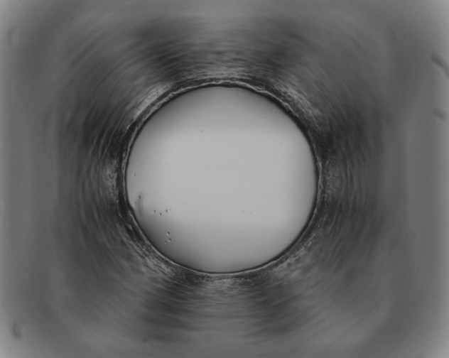 X0000091221162200708301445