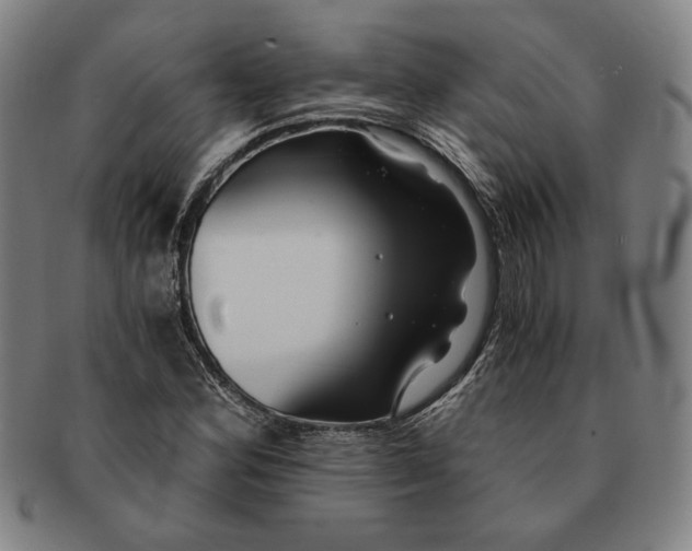 X0000091221164200708301445