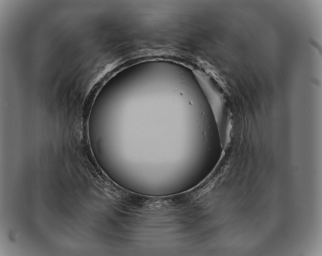 X0000091221165200708301445