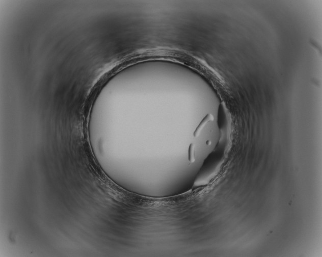 X0000091221166200708301445