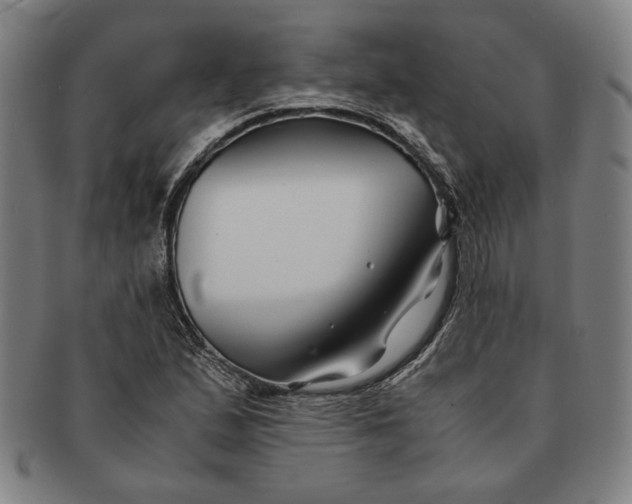 X0000091221167200708301445