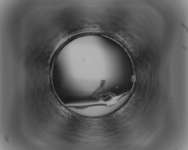 X0000091221168200708301445