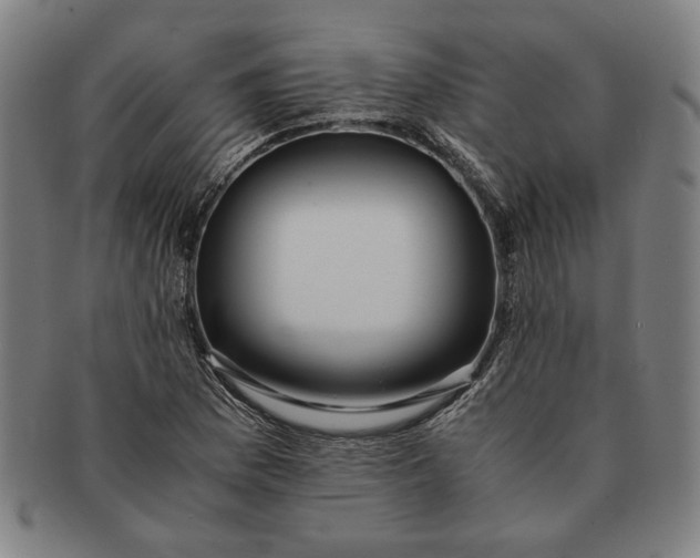 X0000091221169200708301445