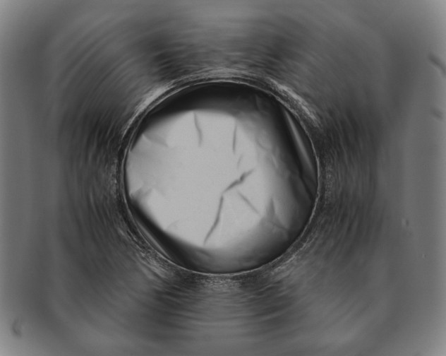 X0000091221170200708301445