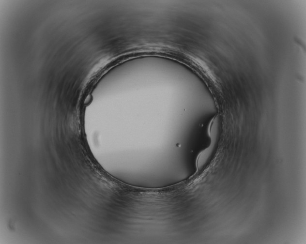 X0000091221172200708301445