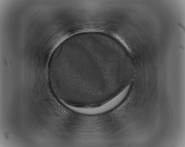 X0000091221173200708301445