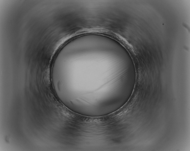 X0000091221174200708301445