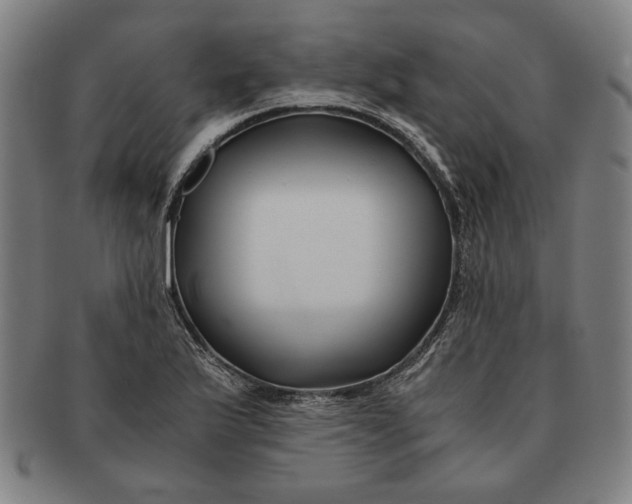 X0000091221175200708301445