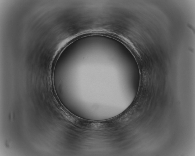 X0000091221176200708301445