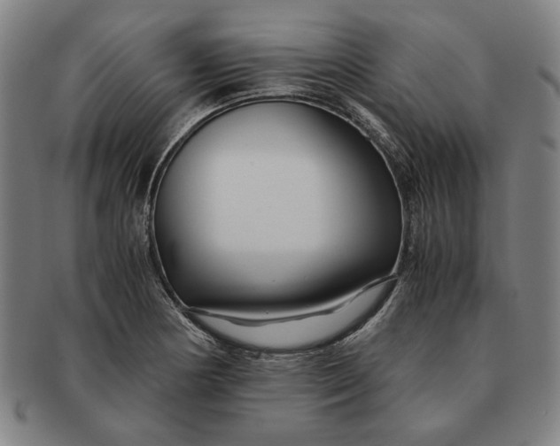 X0000091221178200708301445