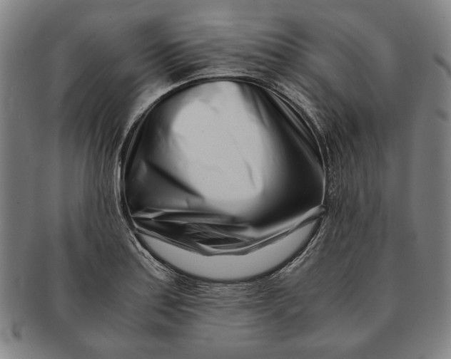 X0000091221179200708301445